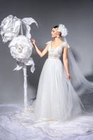 Nos prestations sur le secteur de Saint-Rémy-de-Provence dans les Alpilles